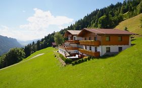 Pension Bergbauernhof Irxner